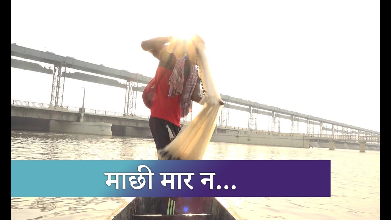 कोशीमा माछा मासिदै गएपछि मलाह जातीको पेशा संकटमा । Kantipur Samachar news headlines uk