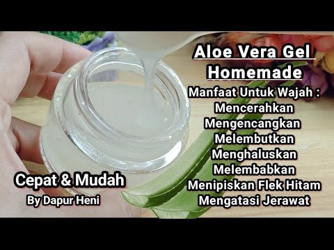 Cara Buat Makanan Dari Lidah Buaya