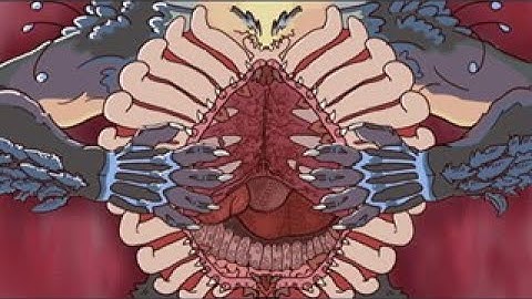 Unfinished animation memes . read desc.