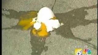 Egg Equinox