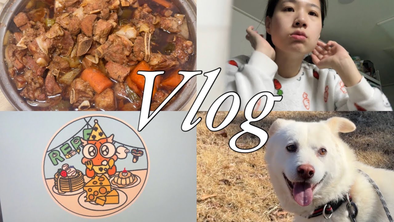 VLOG | 앞가림 걱정 만렙 직장인의 설연휴 | 출근 준비하고 도마뱀 케어하는 일상 | 유기견센터 봉사활동 | 로고 그리기 | 화이트리에 식빵, 엄마표 육전, 갈비 | 햄보카자