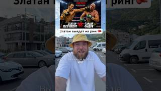 Златан Ибрагимович переходит в бокс: бой с Тайсоном Фьюри #ЗлатанИбрагимович #Бокс #ТайсонФьюри