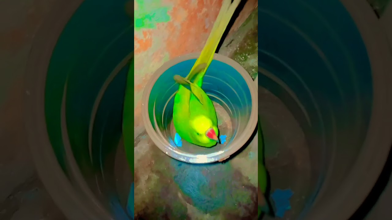 PLEASE LIKE SUBSCRIBE KARDO 🕋🕋👍👍