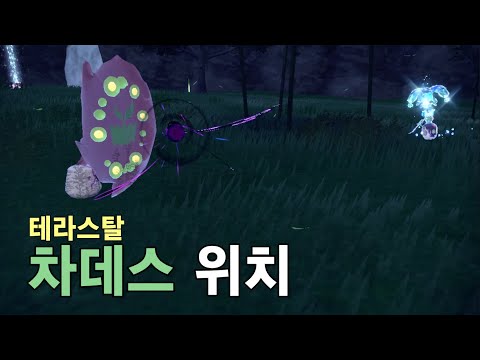 테라스탈 차데스 고정 위치