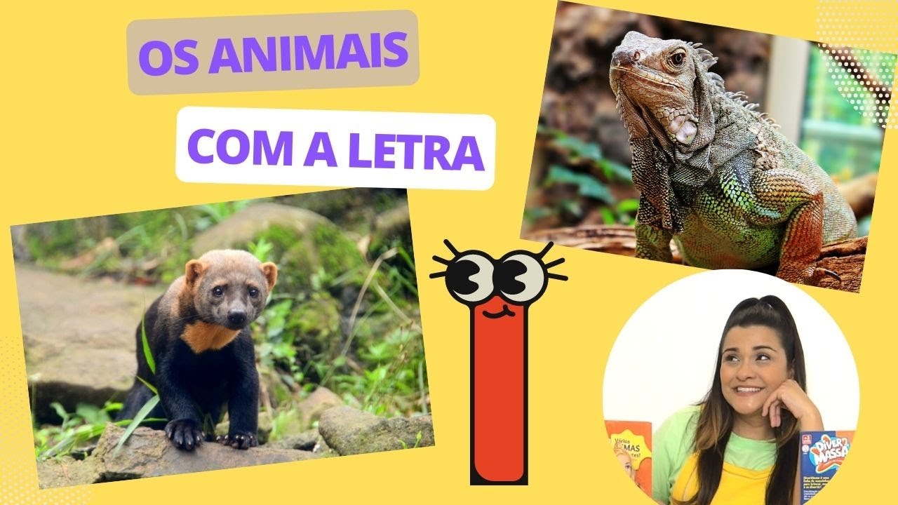 ANIMAIS QUE COMEÇAM COM A LETRA I / CONHECENDO OS ANIMAIS / OS ANIMAIS ...