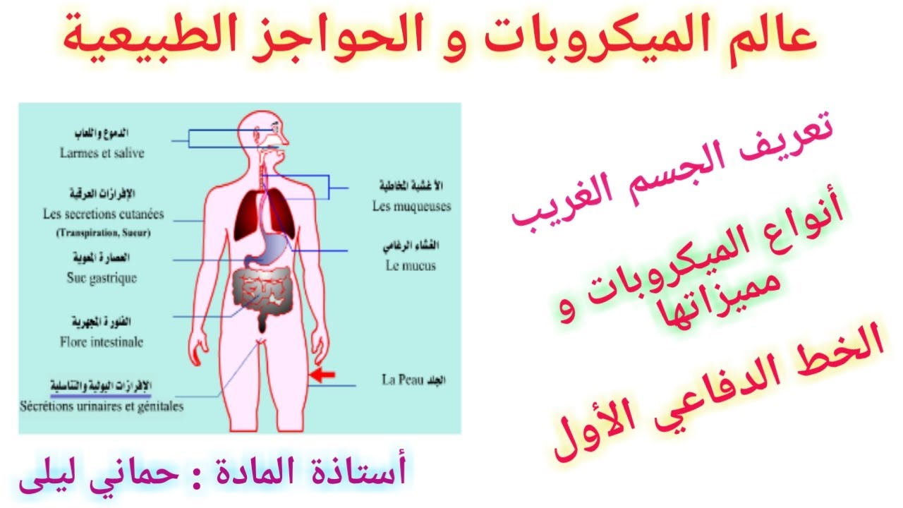 الجهاز المناعي 1:  أتعرف على الحواجز الطبيعية التي تستعملها العضوية لحماية نفسها من الأجسام الغريبة