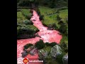 النهر الأحمر في بيرو بسبب زياده نسبة النحاس والحديد فيه سبحان الله