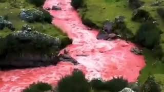 النهر الأحمر في بيرو بسبب زياده نسبة النحاس والحديد فيه سبحان الله