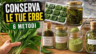 Come conservare ERBE AROMATICHE e AGLIO ORSINO 🌿 6 tecniche spettacolari!