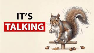 If a Squirrel Flicks Its Tail at You This Is What It Means