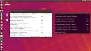 Text Pattern Matching with Python and Shell Scripting