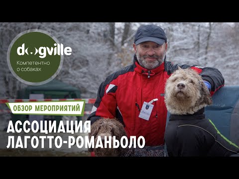 Испытания по поиску трюфеля – Ассоциация породы лаготто-романьоло