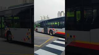 [DEBUT|LYDEP FD] SG1697X 84W