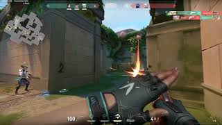 Sports Performance Jett Wall bang Sherriff Ace (Lotus)