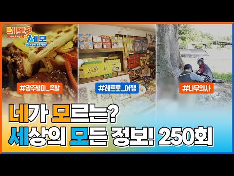 [네모세모] 250회 Full ver. 족발, 어디까지 먹어봤니? l 추억의 레트로 여행 l 슬기로운 나무의사 생활