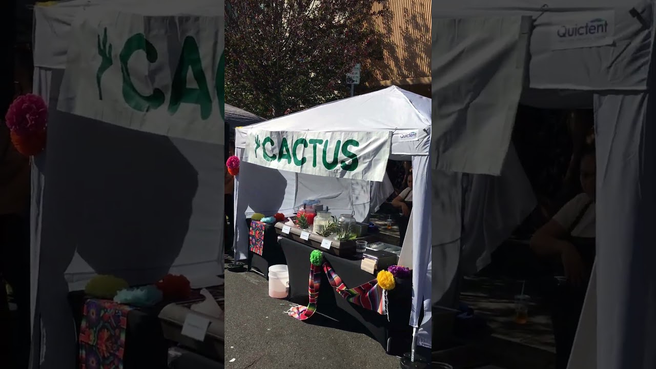 Solano Stroll 9/14/25 The band is Sonic Highway, so good.