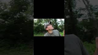 Learning About Persian Lilac