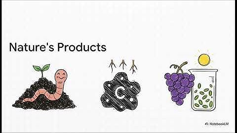 Integrated Upcycling of Waste: Thermochemical and Biological Pathways