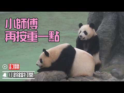 《熊貓早晚安》媽，我這按摩手法怎麽樣？| iPanda熊貓頻道