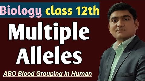 Multiple Alleles - Principles of Inheritance and Variation || Class 12th || Biology