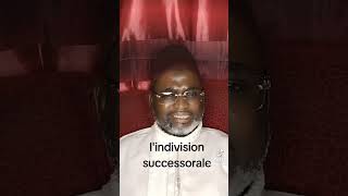 L’INDIVISION SUCCESSORALE