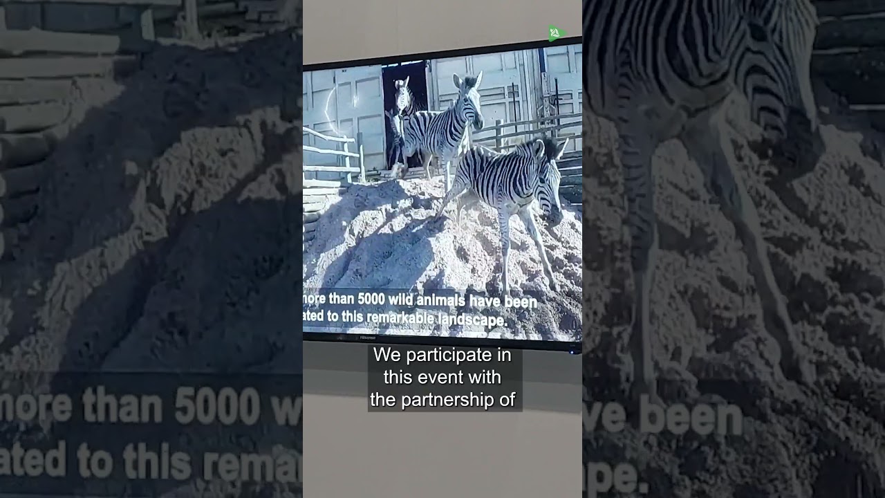 Maputo National Park to the world!