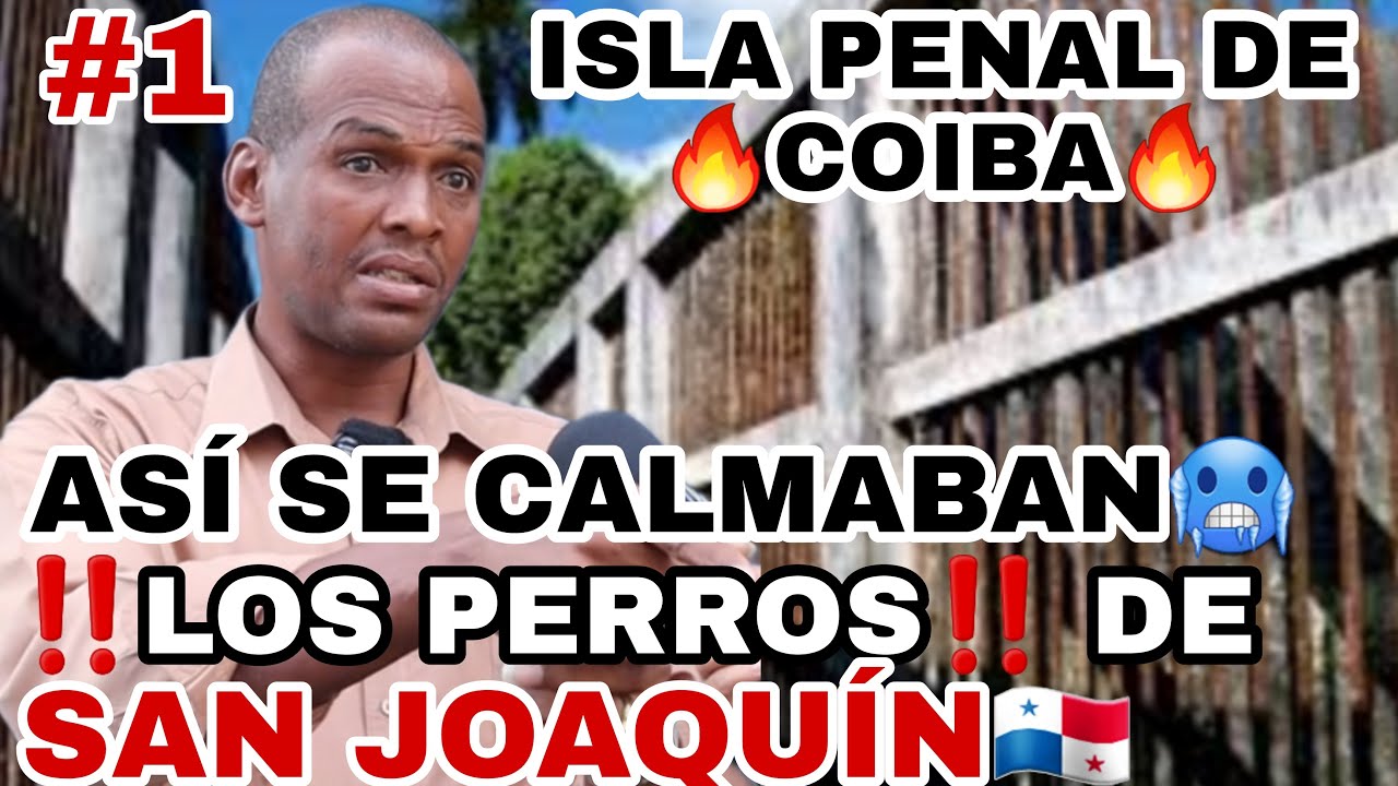 ⛔RICA WILLIAM⛔EX LIDER DE LA BANDA 