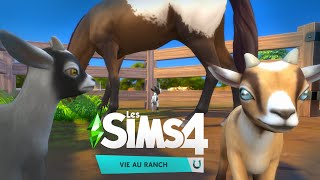 PLUS DE CHÈVRES  | Sims 4 Vie au ranch ? ep.3