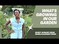 What's Growing in Our Garden | Early August Edible Garden Tour