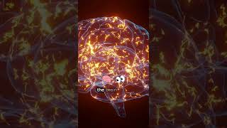 Why This Memory Won’t Let You Go . @experientialdreamwork
