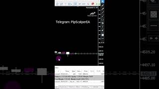 Best Gold XAUUSD Scalping Auto Trading Forex EA for MT5