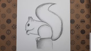 Karakalem Sincap Çizimi, Çizim Hobimiz Resimleri - Squirrel Drawing