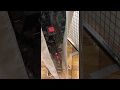 電動アシスト車におすすめ 大久保製作所「 DXクイックカバー(オールマイティ)」
