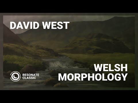 洋楽 David West - Welsh Morphology 12\