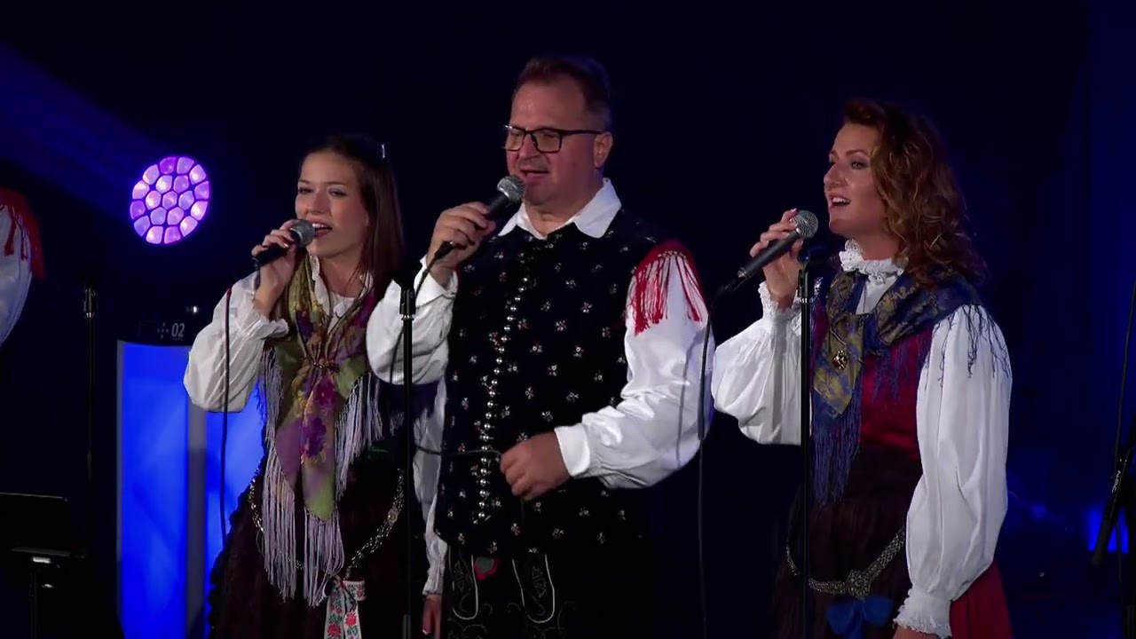 V Mozirskem gaju (Cover) #avsenik #glasbavživo #lah #boris s #prijatelji