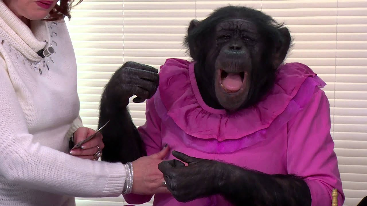 Lea et la Smala #2 avec TIBI