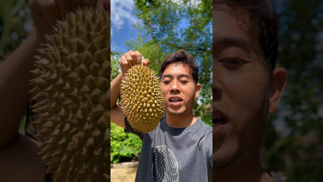 Murah meriah harga durian mulai 5.000 an 