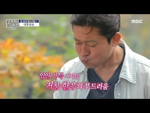 <strong>가야산</strong> 미각 임장😋 산속에서 10배 더 가까워진 10년 차이 선후배, MBC 2411221 방송