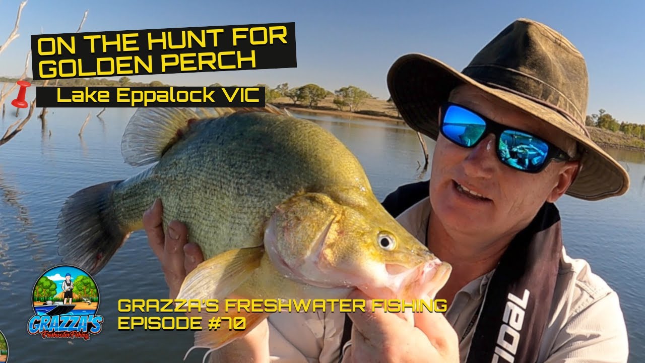 On the Hunt for Golden Perch | Lake Eppalock Fishing