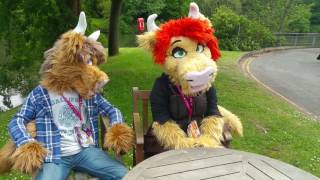 Confuzzled 2016