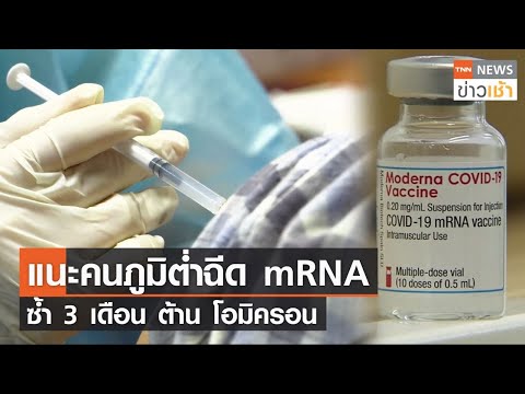 แนะคนภูมิต่ำฉีด mRNA ซ้ำ 3 เดือน ต้าน โอมิครอน l TNN News ข่าวเช้า l 24-12-2021