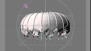 TEST: Jelly Fish
