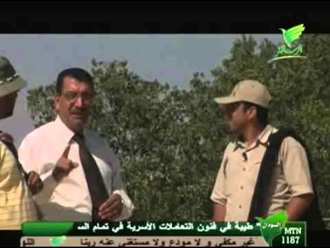 نحن هنا الأردن مدينة اربد ام قيس 2 