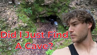 I Found A Hole In The Woods.  So, I Crawled In.
