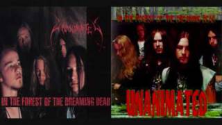 Watch Unanimated Fire Storm video