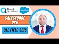 Salesforce cpq qle field sets
