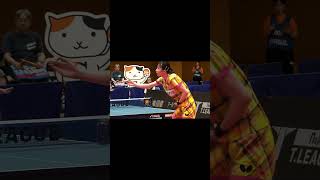 早田ひな 照井雄太が選ぶスーパープレー「カーブドライブ」トップおとめピンポンズ名古屋 vs 日本生命レッドエルフ 2025年8月3日(日) 邦和みなとS&amp;C 実況解説なし【卓球 Tリーグ公式】