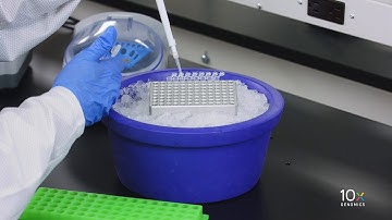 Single Cell Immune Profiling Protocol v2 | Prepare Reaction Mix