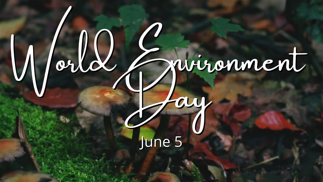 World Environment Day Whatsapp Status Video 