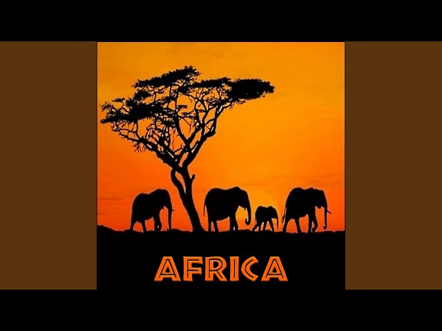 Jungle Wildlife